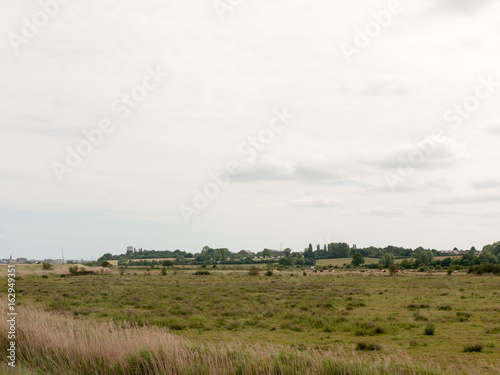Stock Photo - country landscape animals farm in distance no people empty harwich felixstowe essex uk