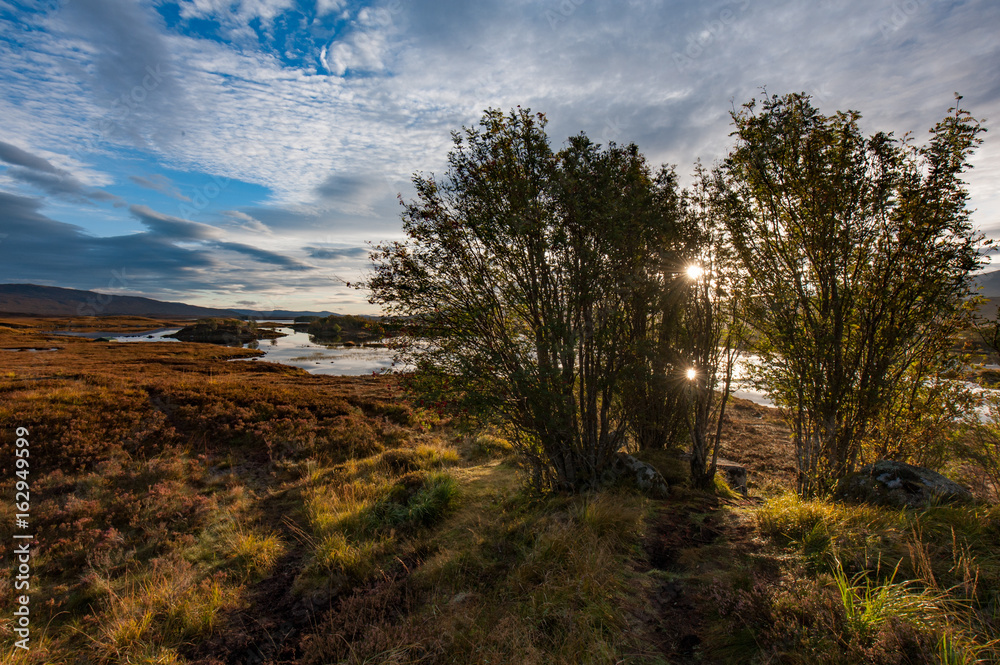 Morning Reflection on Lake with Trees and Heather, Scotland UK