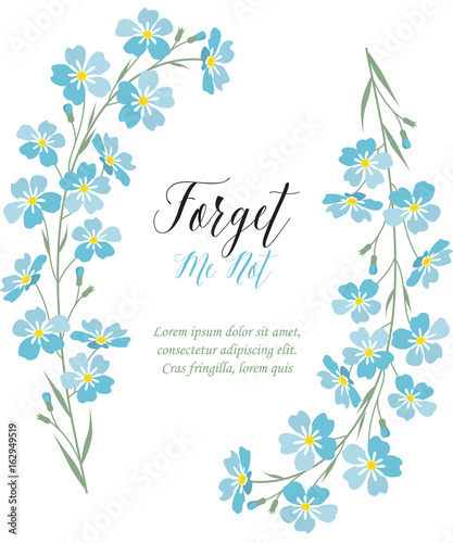 Vector blue forget me not flowers