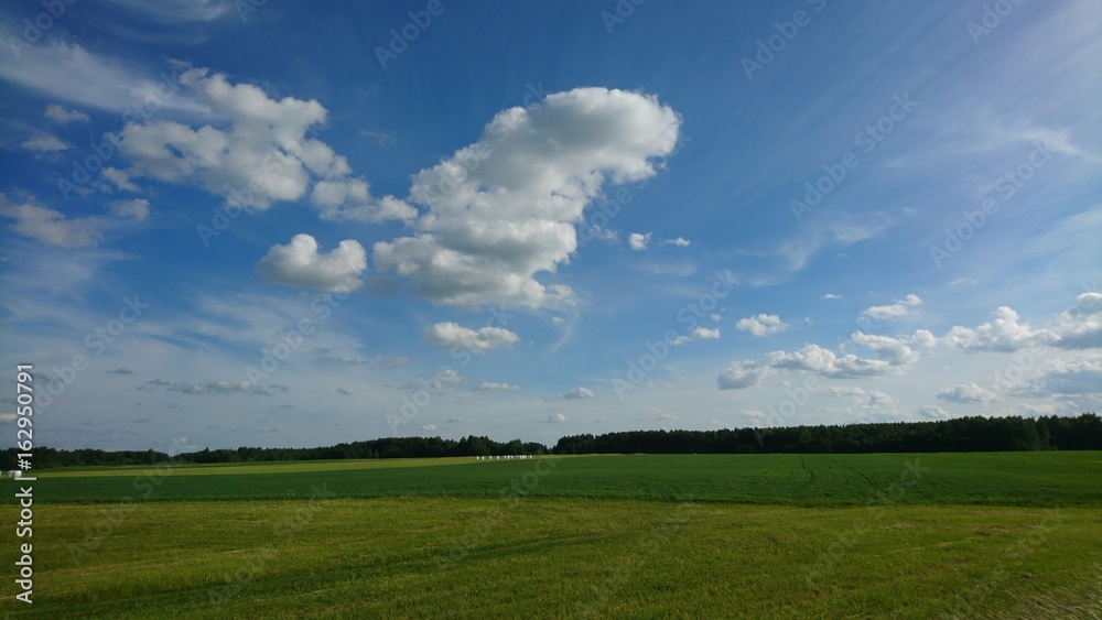 Landscape with soft clouds in sky over meadow 