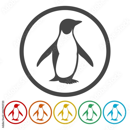 Penguin Icons set - vector Illustration