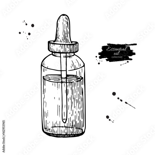 Essential oil glass bottle hand drawn vector illustration. Isolated drawing for Aromatherapy treatment, alternative medicine, beauty and spa