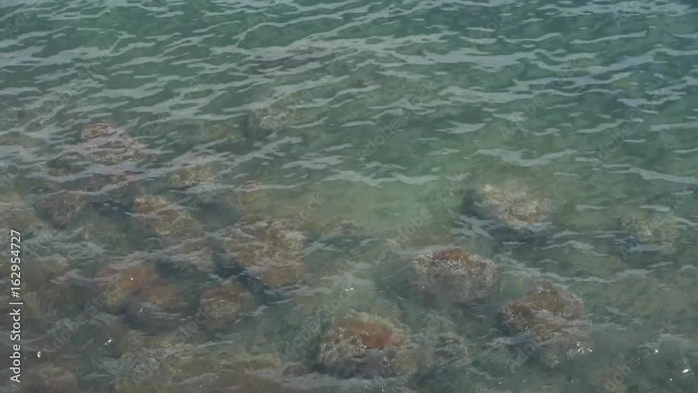 Water ripples surface.transparent underwater reef. Water ripples surface.transparent underwater reef.