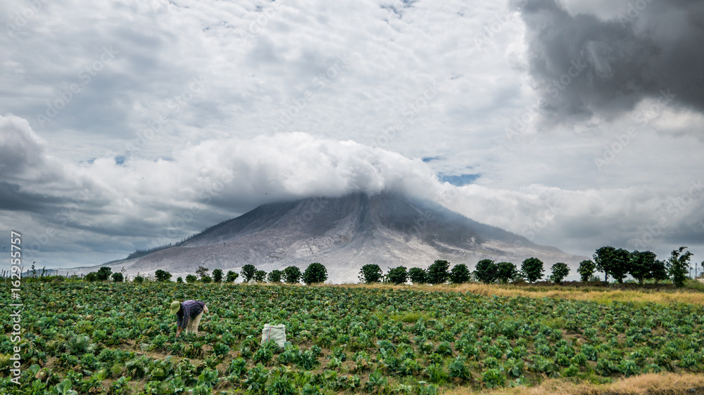 Papier peint photo avec Paysanne face au volcan Sinabung indonésien #162955757