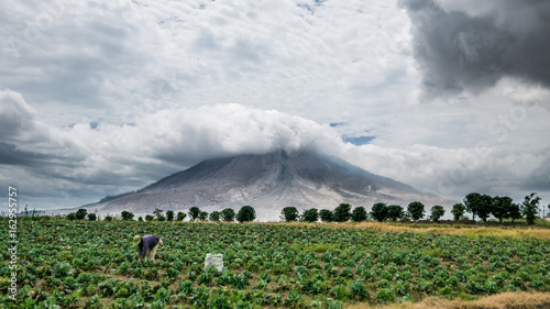 Boerin bij Sinabung vulkaanuitbarsting Sumatra