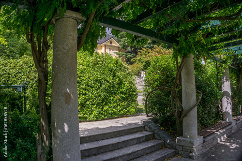 Landscape with mountain panorama, with trees, tree lined avenue © mashiro2004