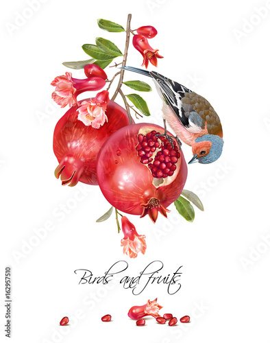 Finch pomegranate card