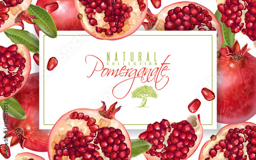 Pomegranate horizontal banner