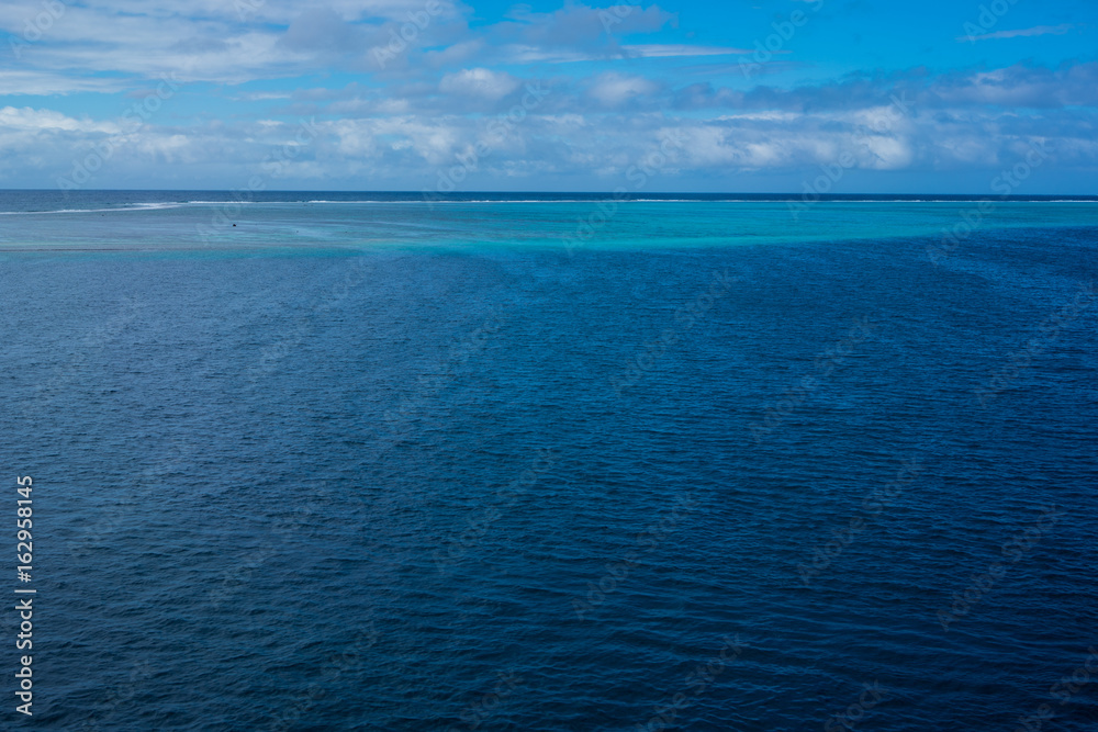 Obraz premium Bio Reef