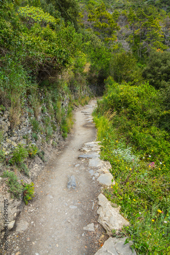 a view from the azure path (the path of Love), passing through the Cinque Terre park to Monterosso al Mare, Vernazza, Corniglia, Manarola and Riomaggiore