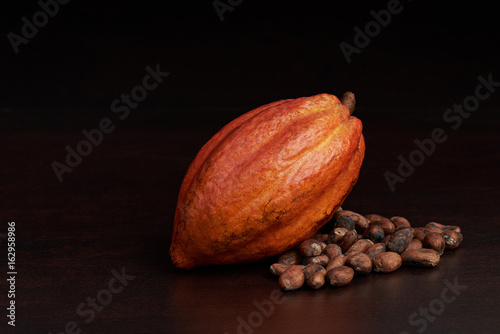 Organic raw cacao pod