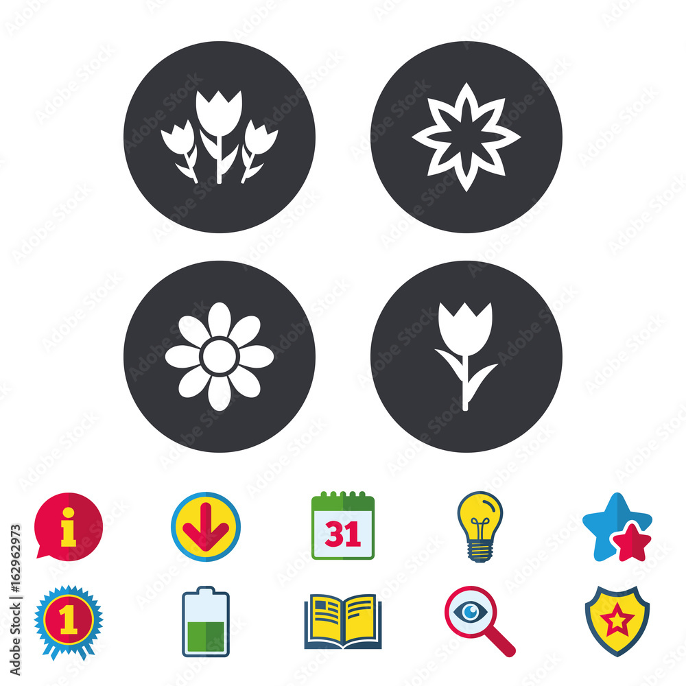 Flowers icons. Bouquet of roses symbol. Flower with petals and leaves. Calendar, Information and Download signs. Stars, Award and Book icons. Light bulb, Shield and Search. Vector