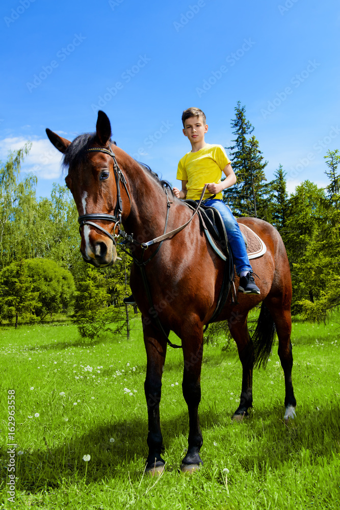 learn to ride a horse learn to ride a horse
