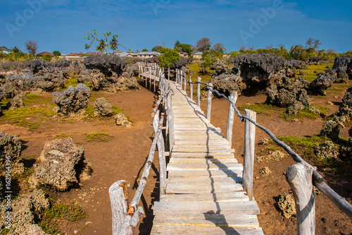 Bare reefs at low tide. Africa. Kenya. Indian Ocean. photo