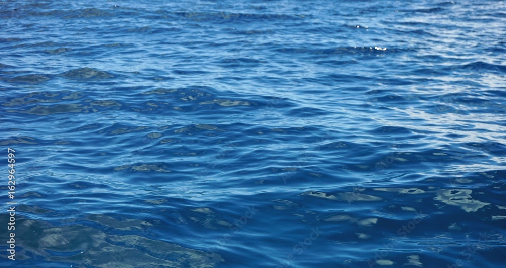 deep blue sea deep blue sea