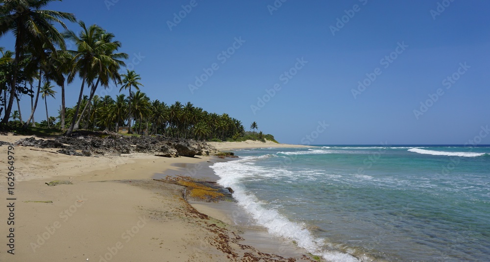 tropical hideaway beach