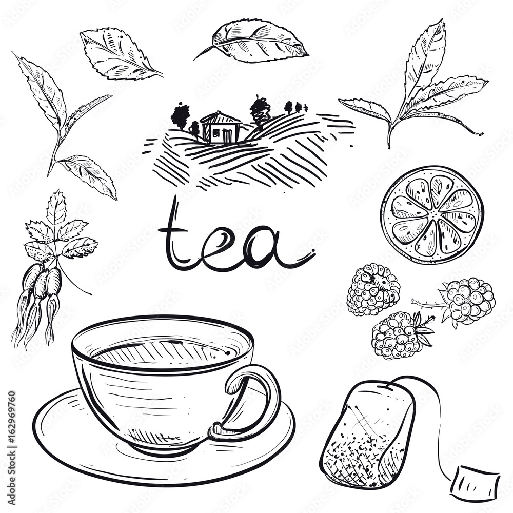 Hand drawn monochrome vector set of tea cup, leaf, dogrose, raspberry ...