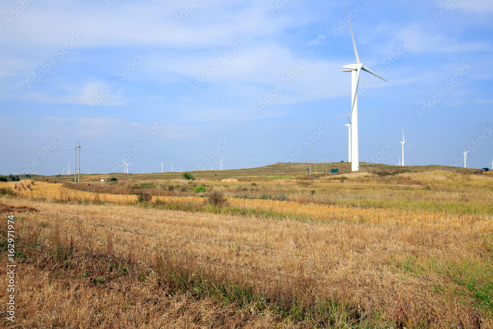 Autumn terraces and wind turbines Autumn terraces and wind turbines
