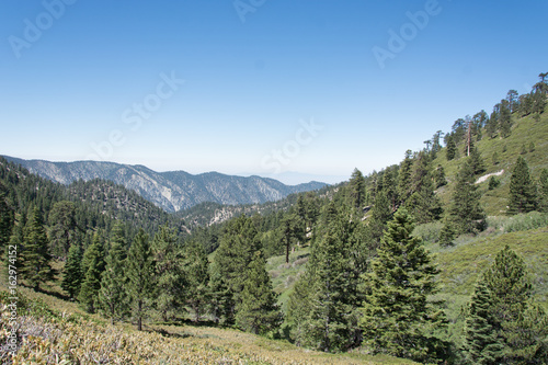 Mountains, Pine Forest, and Blue Sky in Southern California on Mt. San Gorgonio