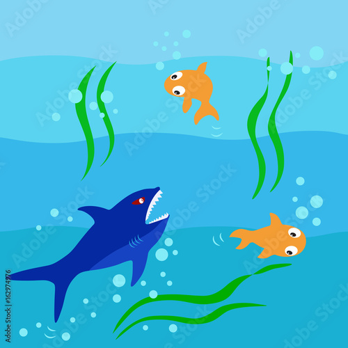 The shark hunting the fish in ocean