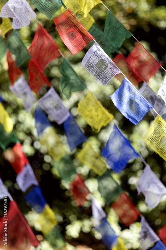prayer flags