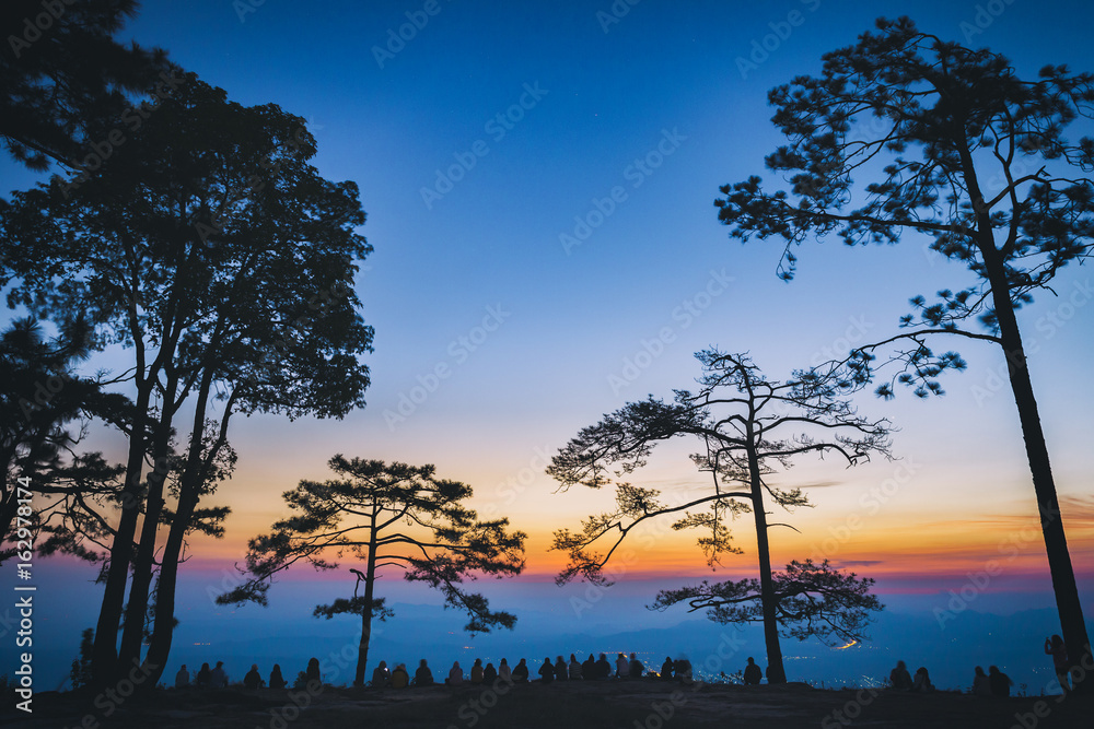 Silhouette people and pine trees with sunrise scene in Phu Kradueng National Park, Thailand.