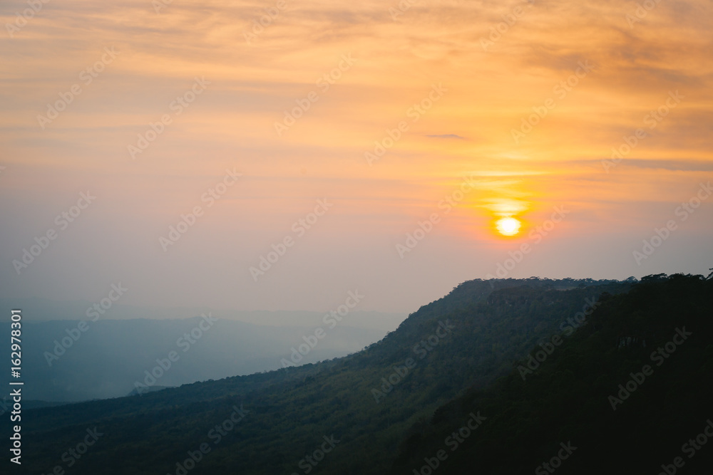 Sunset scene with pine forest and mountain in Pha Mak Duk, Phu Kradueng National Park, Thailand.