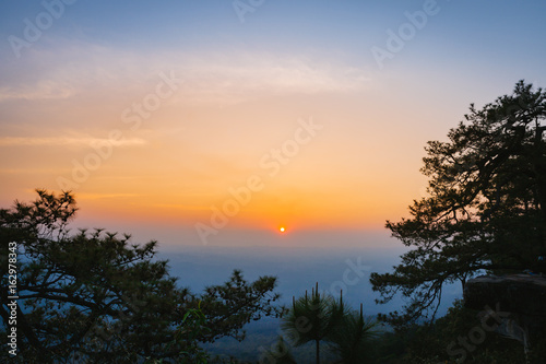 Fototapeta Naklejka Na Ścianę i Meble -  The silhouette of pine tree with sunset scene in Phu Kradung National park, Thailand.