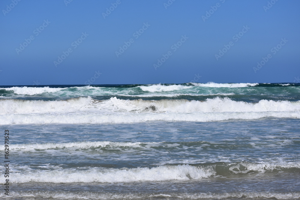 Torrey Pines Beach Waves