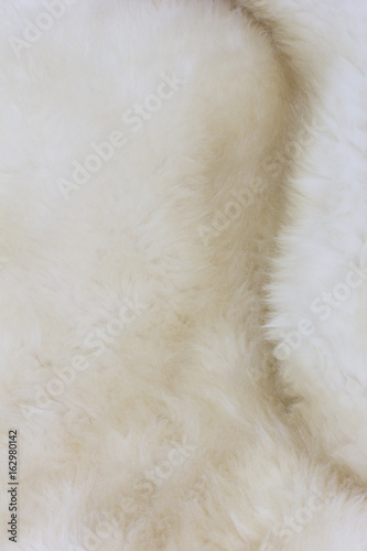 Fur Texture./Fur Texture 