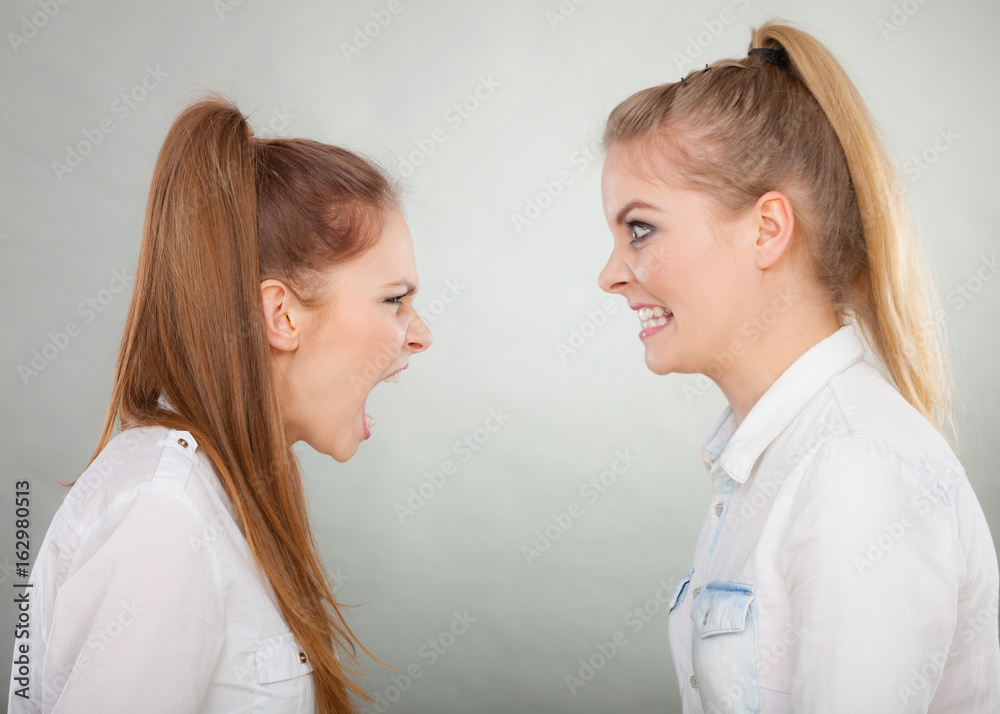 Angry fury girls screaming at each other Angry fury girls screaming at each other
