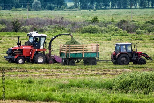 Combine harvester and tractor remove grass from the field