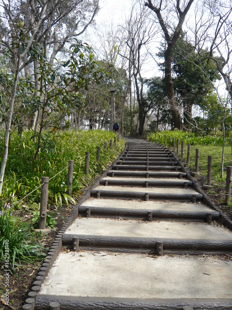 林道の階段
