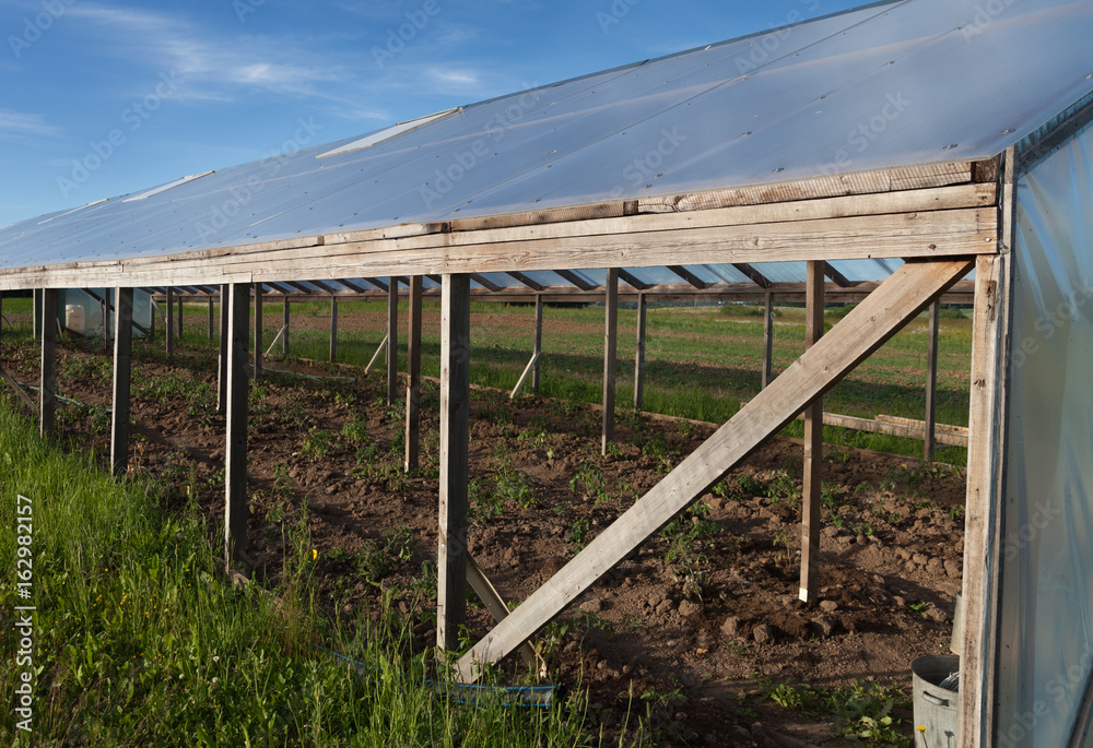 Old greenhouse need repair.