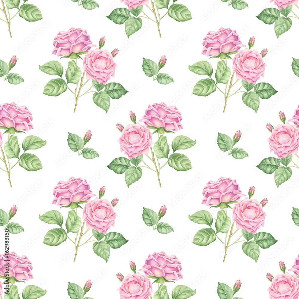 Hand drawn watercolor roses seamless background, floral botanical repeating pattern on colorful backdrop.