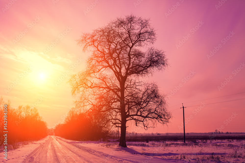 Evening in countryside, road covered with snow at sunset light