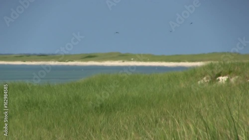 A distant shot of beach coastline over grasslands of south monomoy island Cape Cod.  Heat waves cause atmospheric ripples creating a mirage like appearance photo