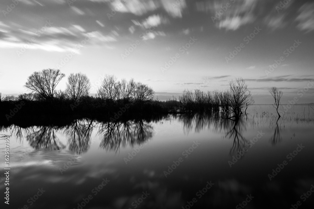 Fototapeta premium Perfect reflection of some trees on water, with moving clouds