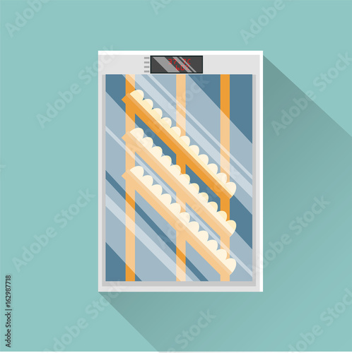 Incubator with eggs. Incubation of chickens. Vector flat illustration.