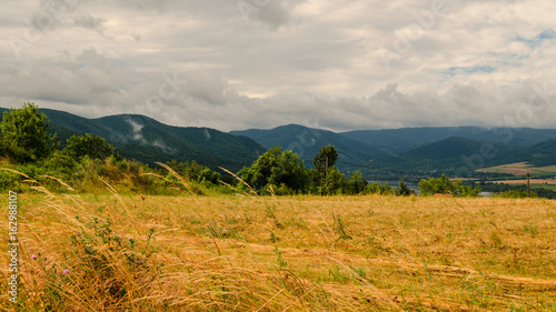 walking up hill summer meadow  feeling up in hill nature.Forest nature river panoramic landscape. magical walking meadow uphill in nature  summertime outdoors