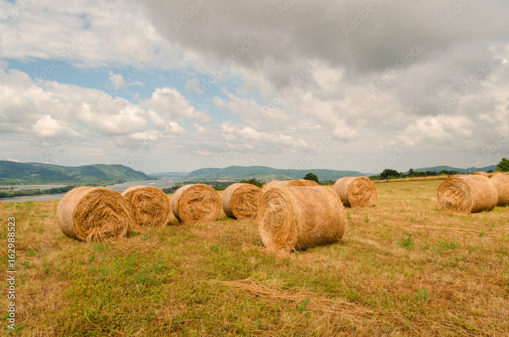 Beautiful landscape of agricultural wheat field - Round bundles of dry grass in the field,bales of hay