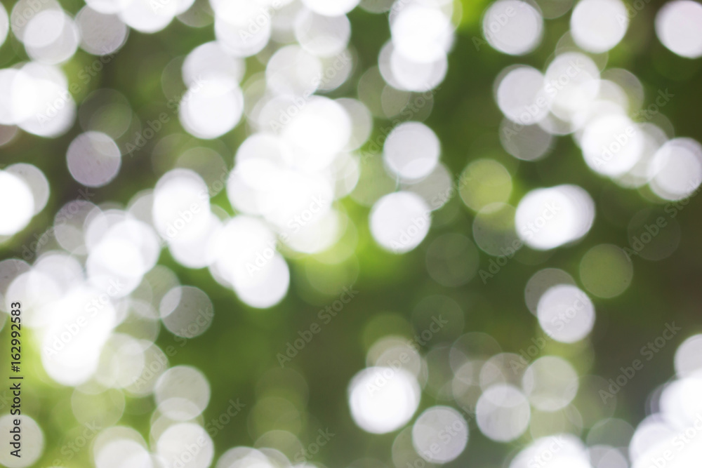 Fototapeta premium Bokeh from Plumeria tree (Leelavadee) 