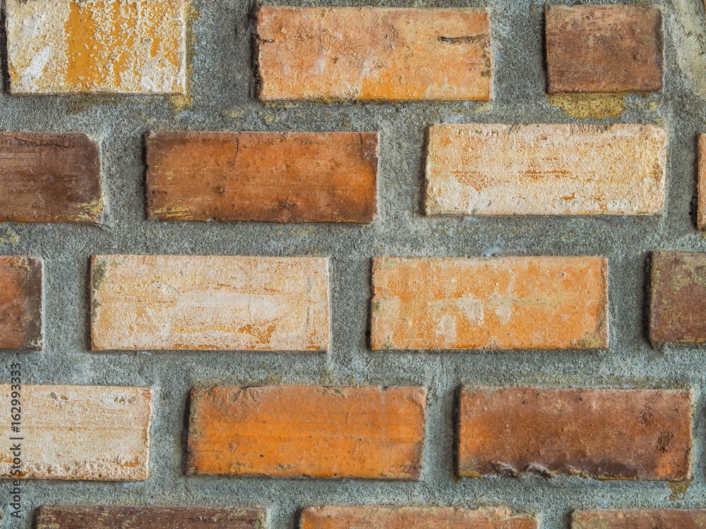 Fototapeta premium Cement wall background