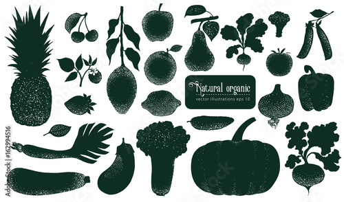 Vector fruita and vegetables silhouettes. Vintage illustrations. Hand drawn nature objects.
