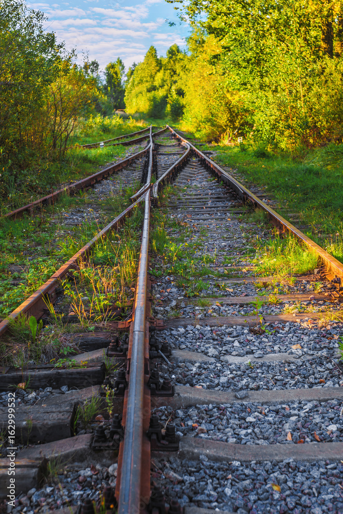 Naklejka premium Landscape view of the old railway tracks in autumn