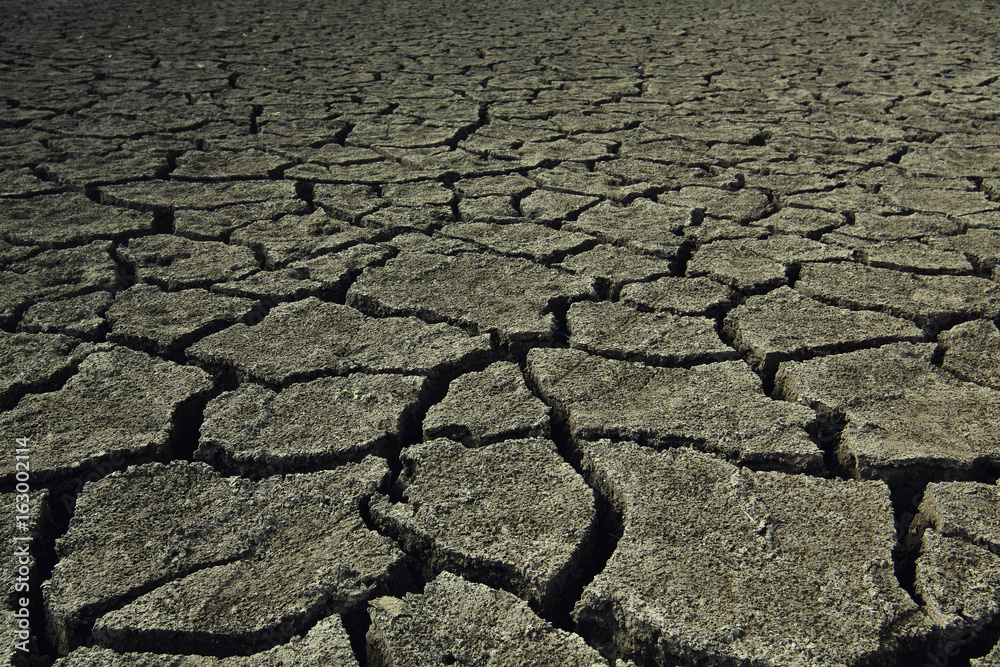 Dry soil background