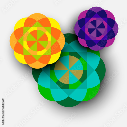 Colorful kaleidoscope flowers