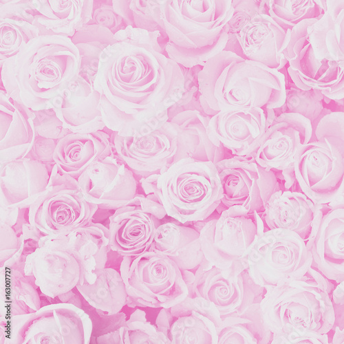 Blurred of sweet roses in pastel color style on soft blur bokeh texture for background