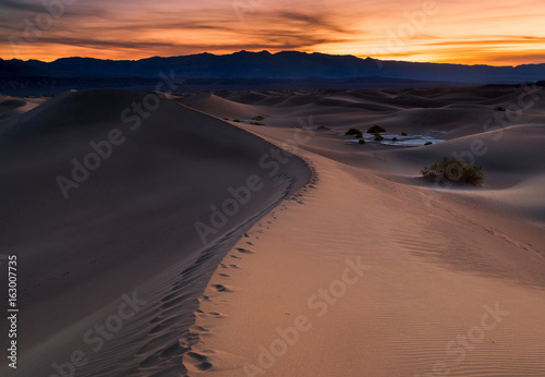 Desert in Mesquite Flat, Death Valley National Park, USA.