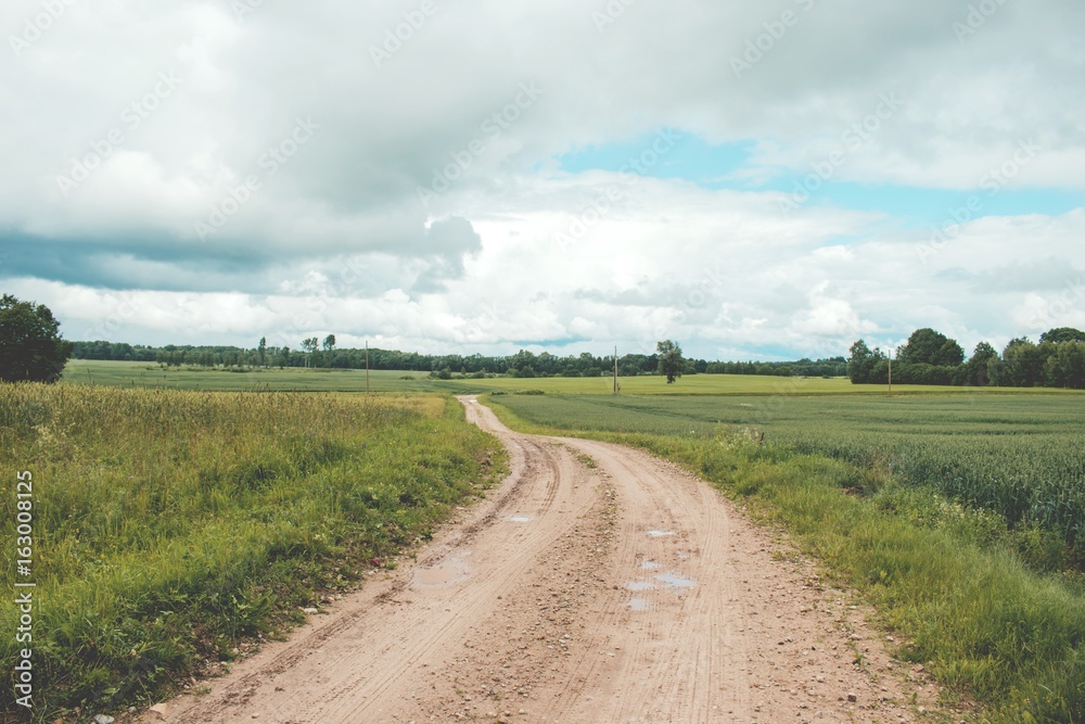 Rural Road. Rural road through agricultural fields during a daytime. Retro and vintage look